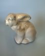 Bunny Pottery in Cottonwood Cheap