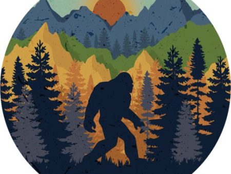 Car Coasters + Bigfoot Online Sale