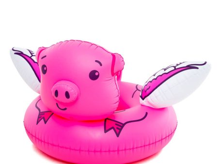 Giant Flying Pig Pool Float For Sale