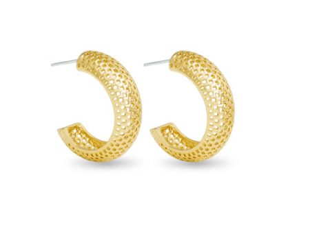 Amanda Blu + Gold Madelyn Polished Mesh Hoop Earrings For Discount