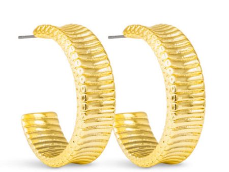 Amanda Blu + Gold Kennedy Polished Ribbed Hoop Earrings Supply