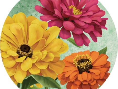 Car Coasters + Nature Zinnias Online now